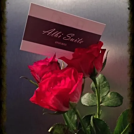 Apartamento Albi-suite *