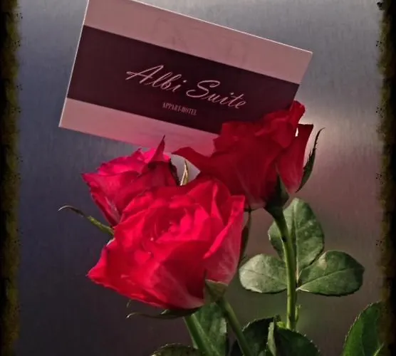 Apartamento Albi-suite *